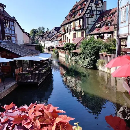 Au Kugelhopf Dore - Centre Historique アパート コルマール