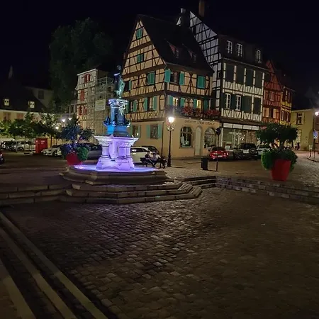 Au Kugelhopf Dore - Centre Historique アパート *